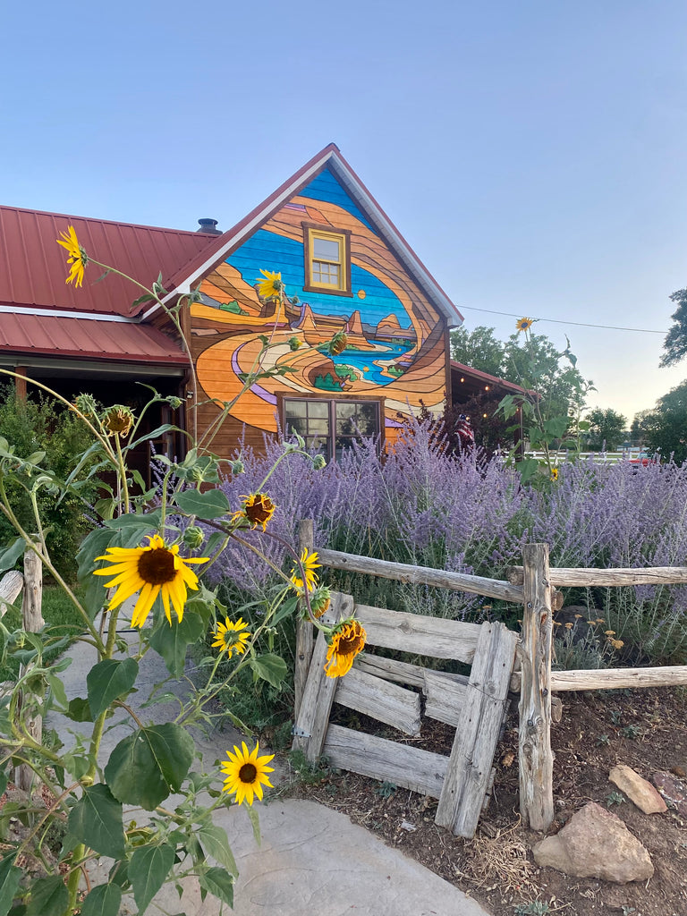 LouBird Inn in Escalante Utah with sunflowers and russian sage Old wooden fence blue sky